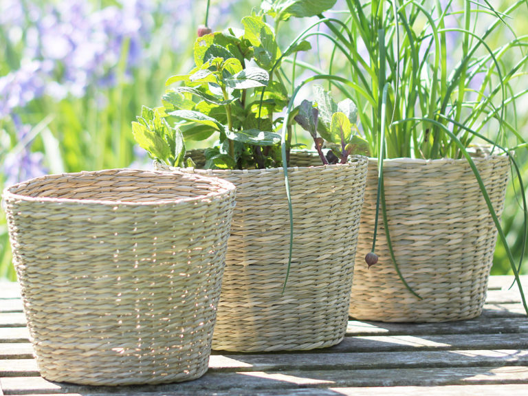 Medium Seagrass Planter – Hutton and Hutton